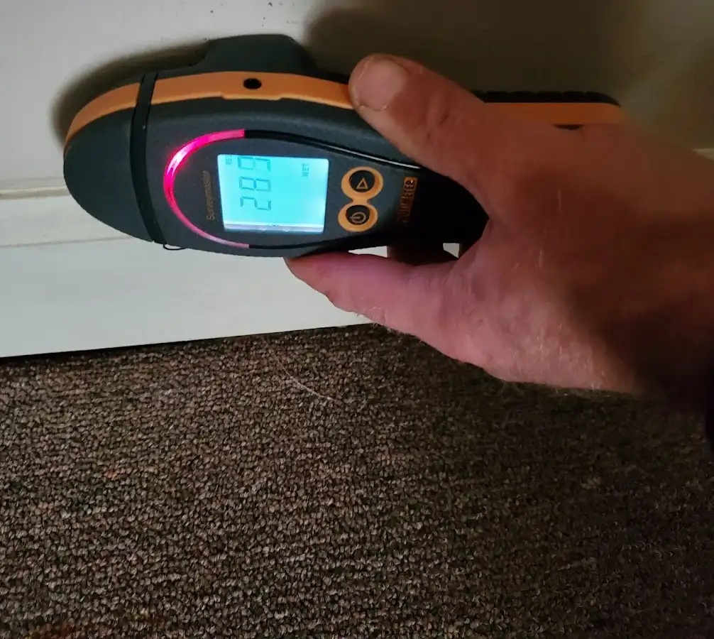 Moisture detection at baseboard during Mold Inspection & Testing in Cloquet